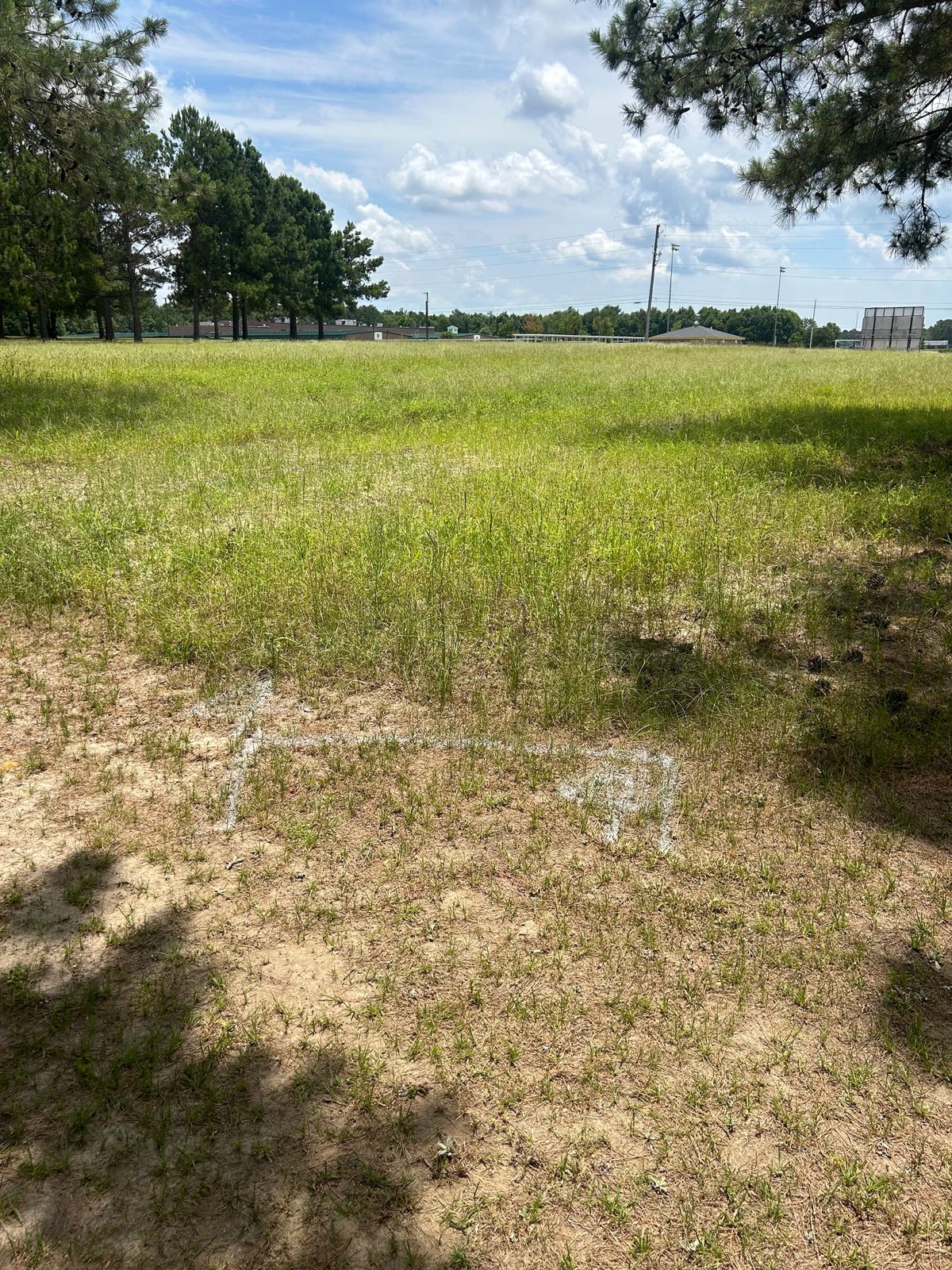 Hole 4 tee pad