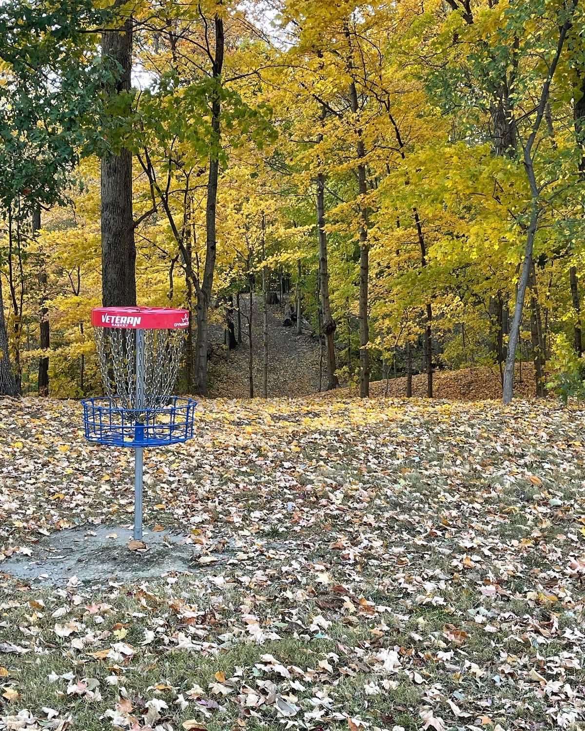 Hole 9 basket, looking back towards teepad.
