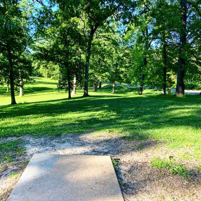St Louis Disc Golf Your Guide to Disc Golf in St Louis Missouri