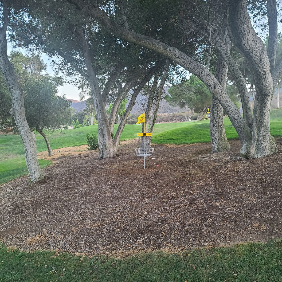 Hole 10 - A position