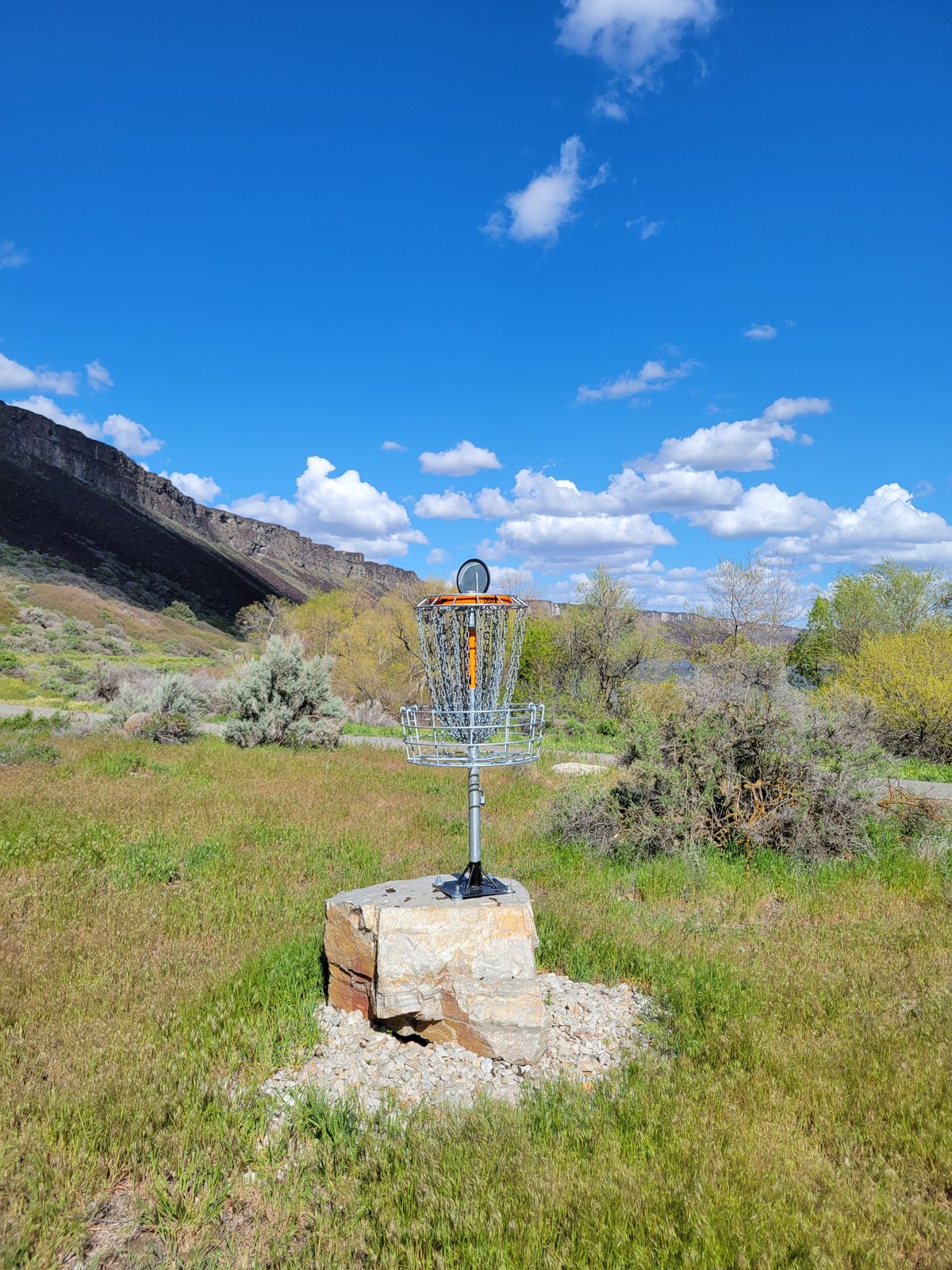 Hole 8 basket is up on a rock