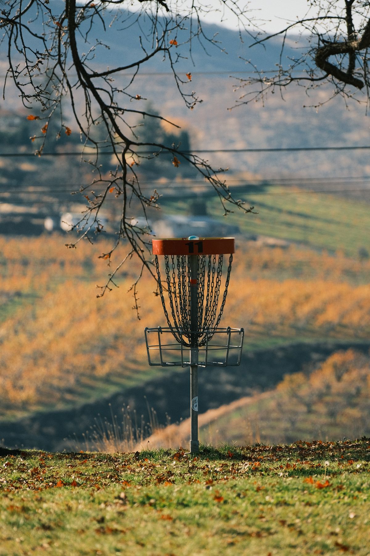 Hole 11