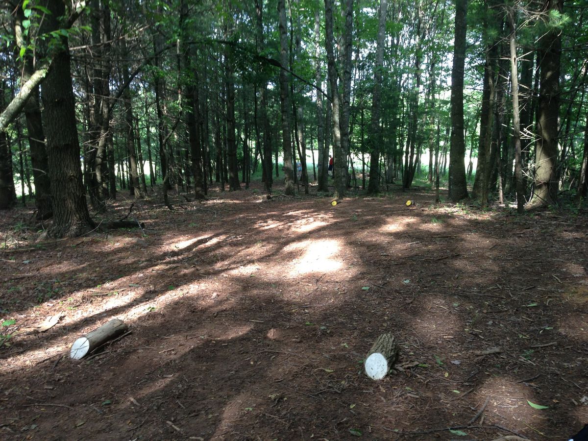 Hole 8