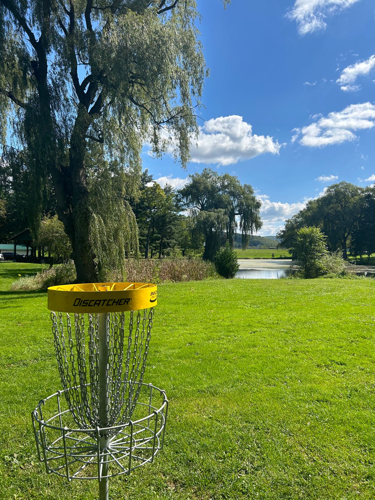 Hole 18 Basket looking over pond