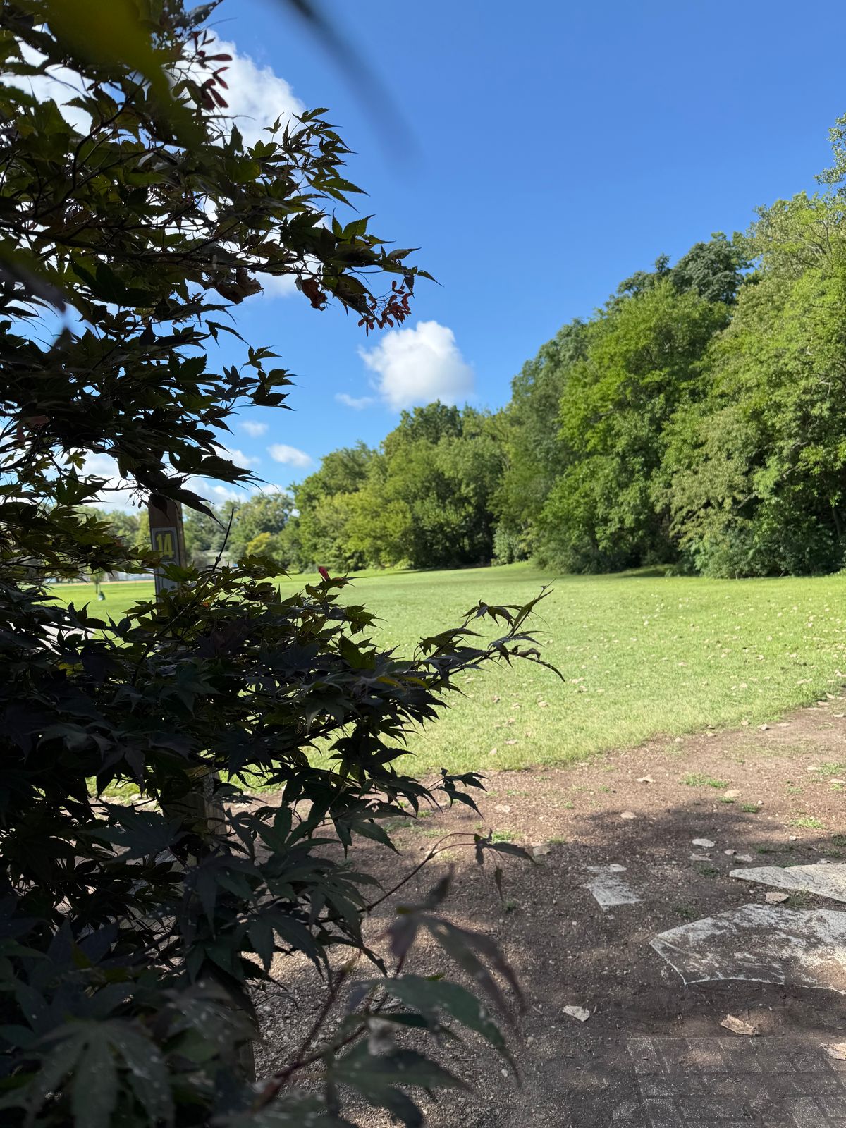Tee 14