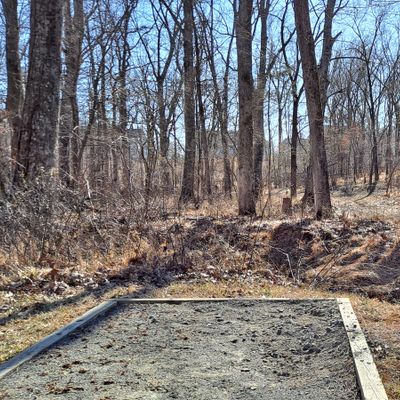 Short straight shot in the woods. Good for an ace run.