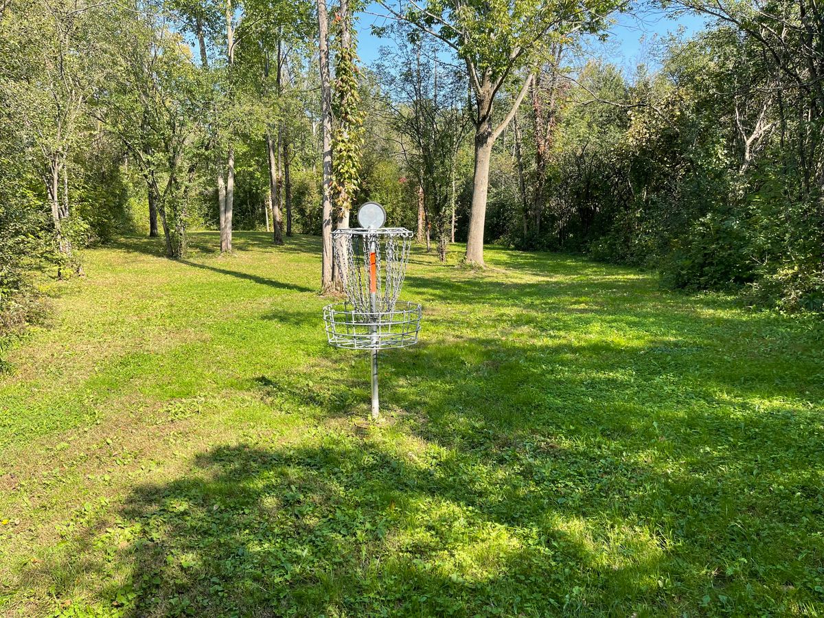 Hole 17 Basket
