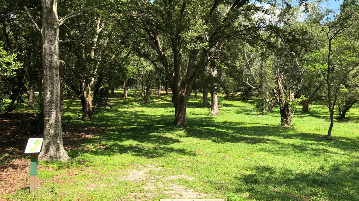 Hole 7 Fairway