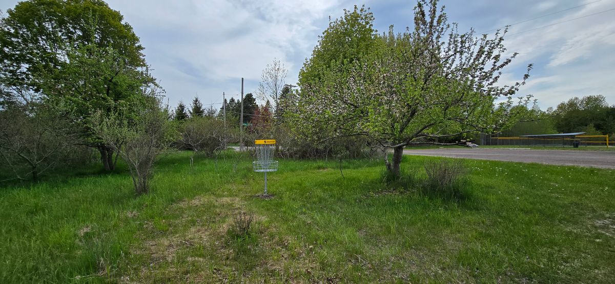 Hole 9 Basket