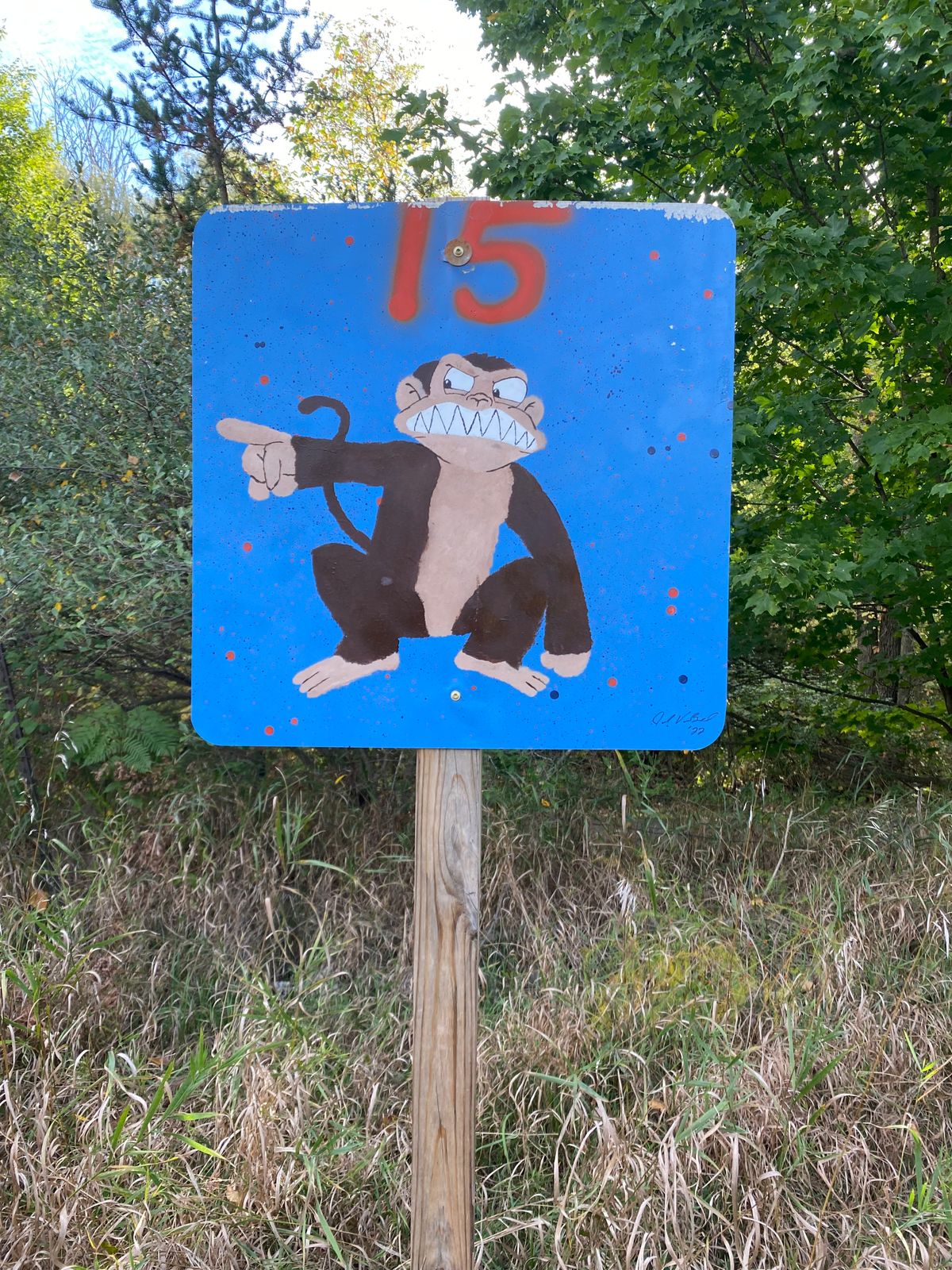 Angry monkey double bogey!