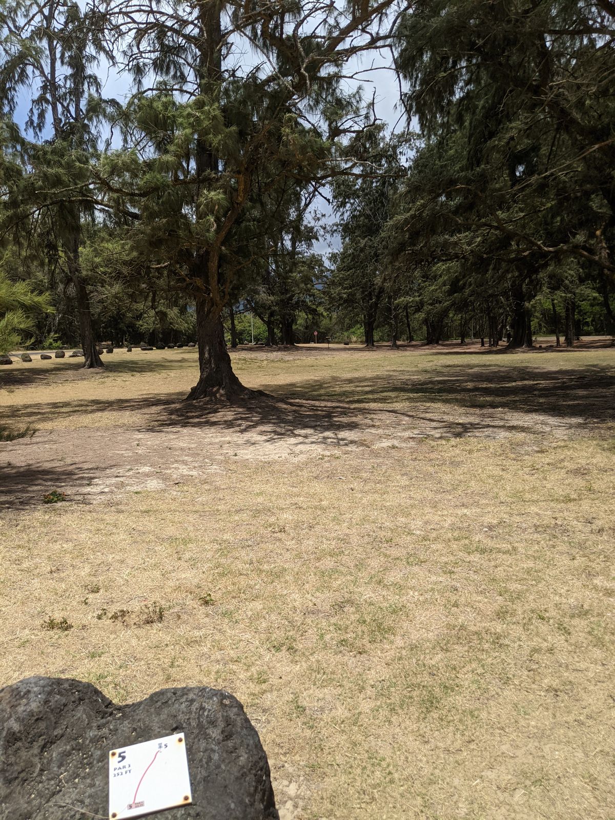 Hole 5