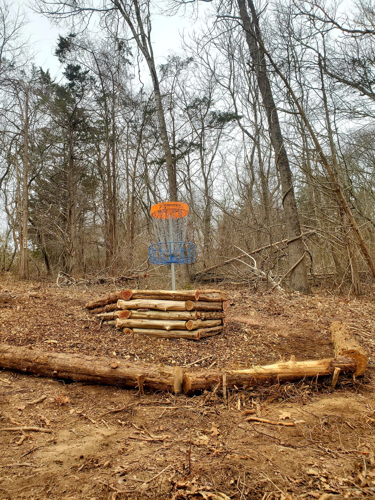 hole 6