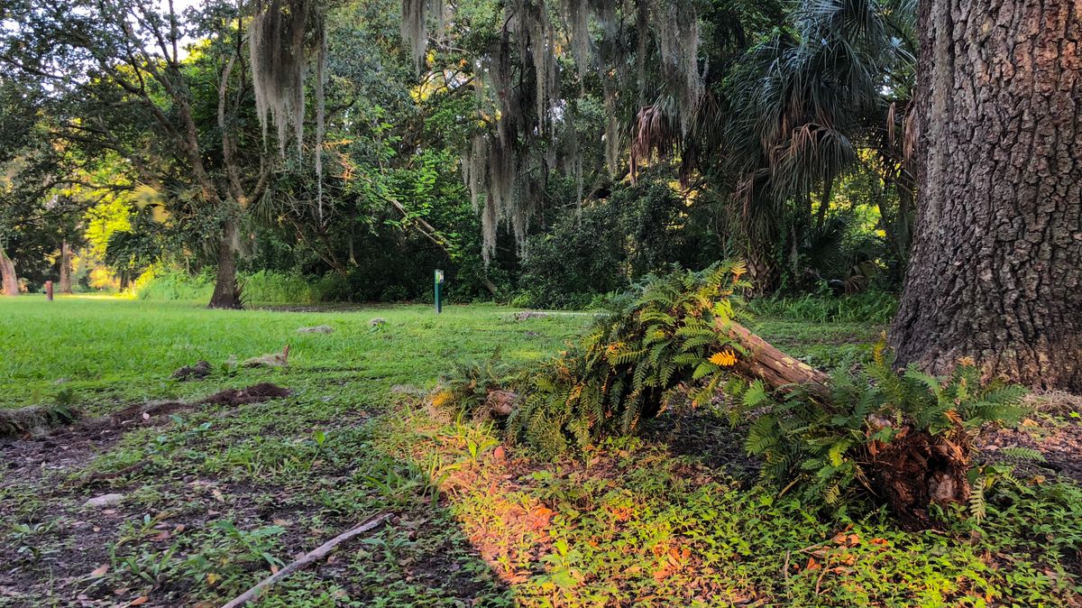 Hole 1