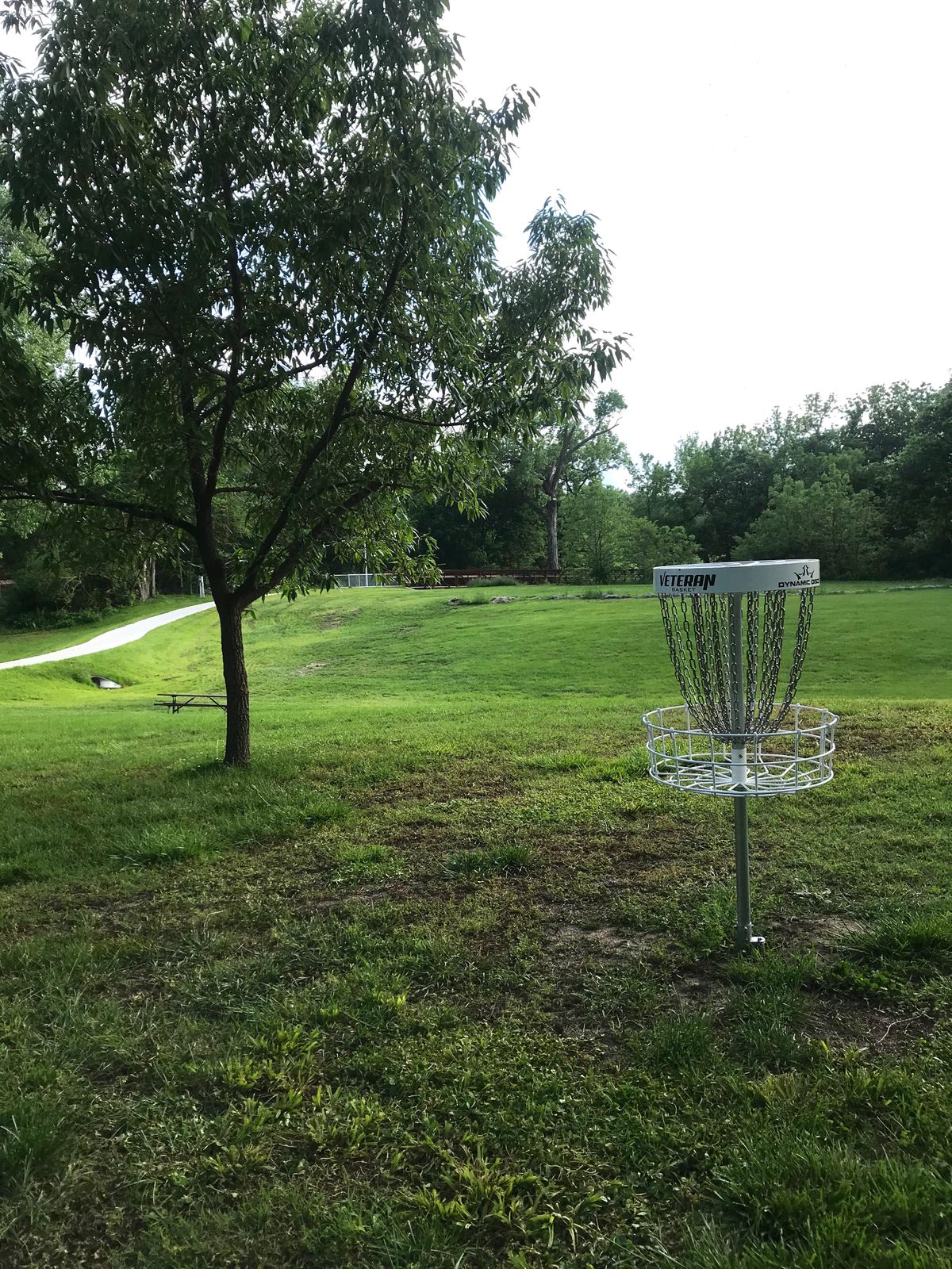 Hole 5 Basket to Tee