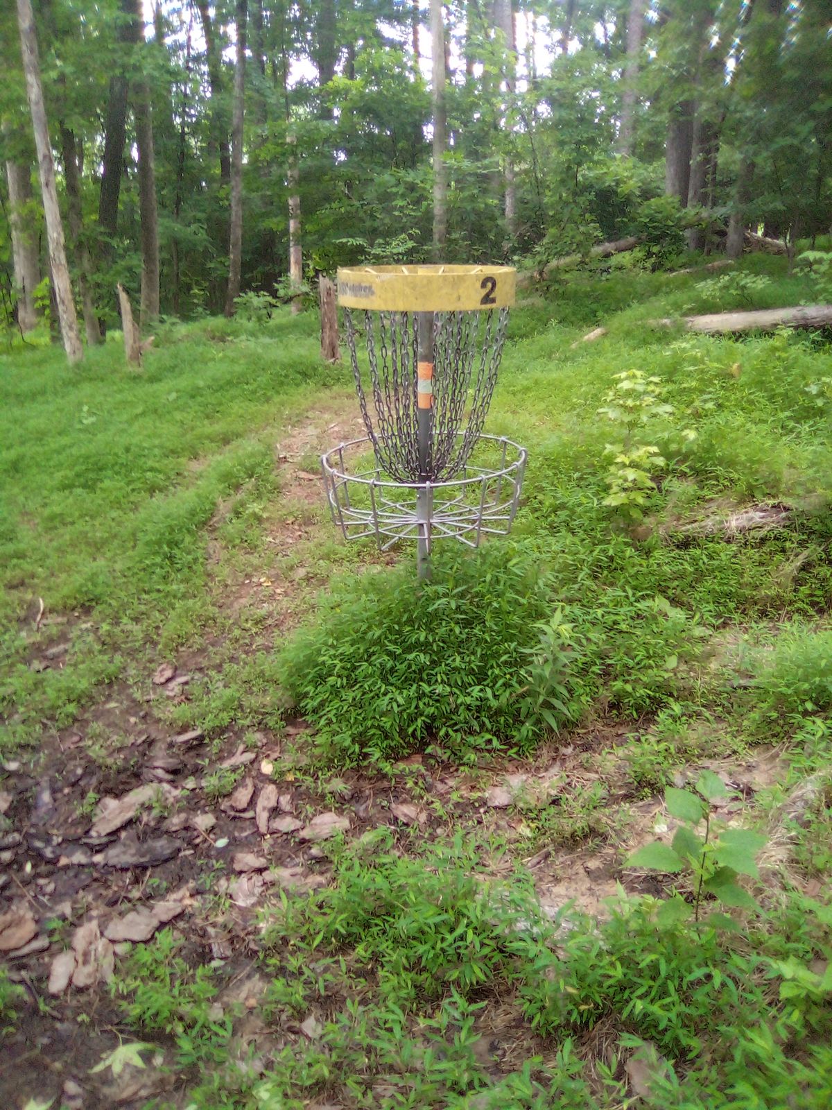 Hole 2 basket
6/9/24