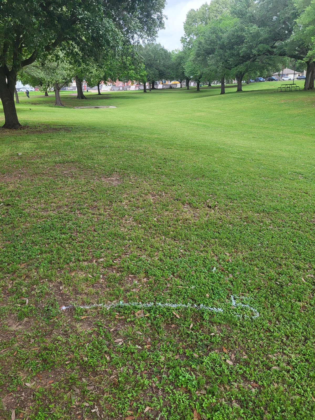 GG-Hole #5 - On or across walking path is OB.