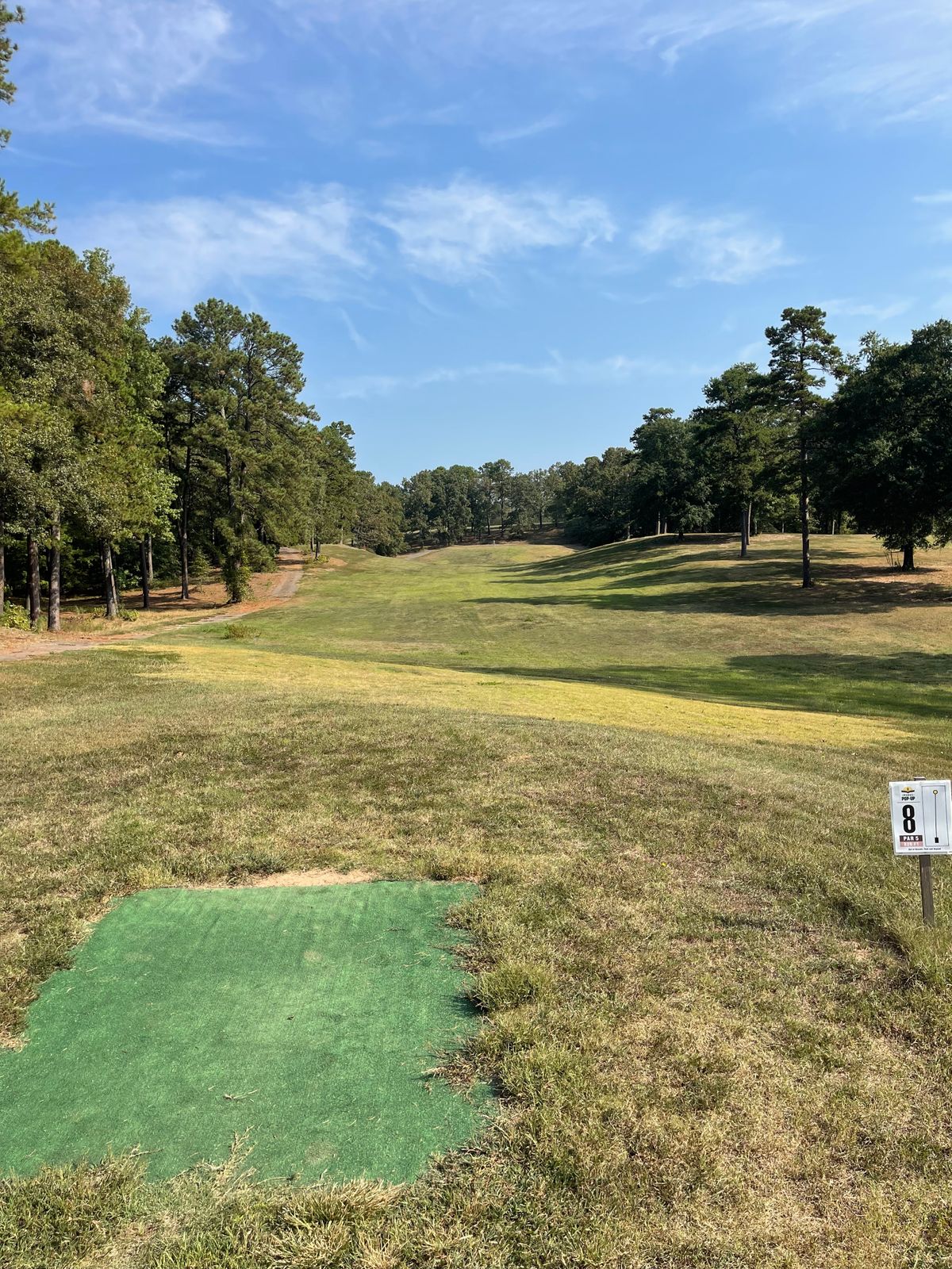 Hole 8