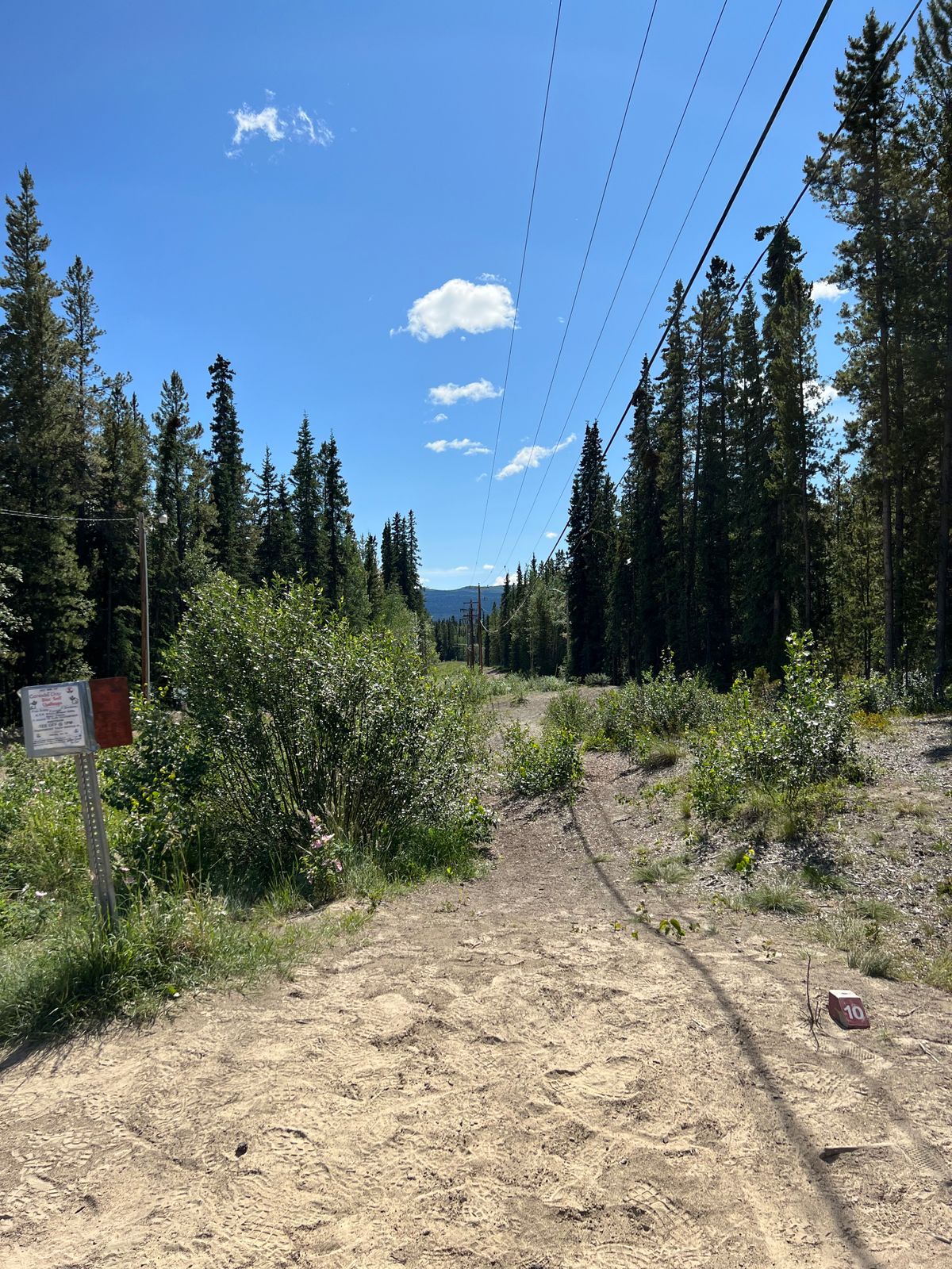 Hole 10 reds
