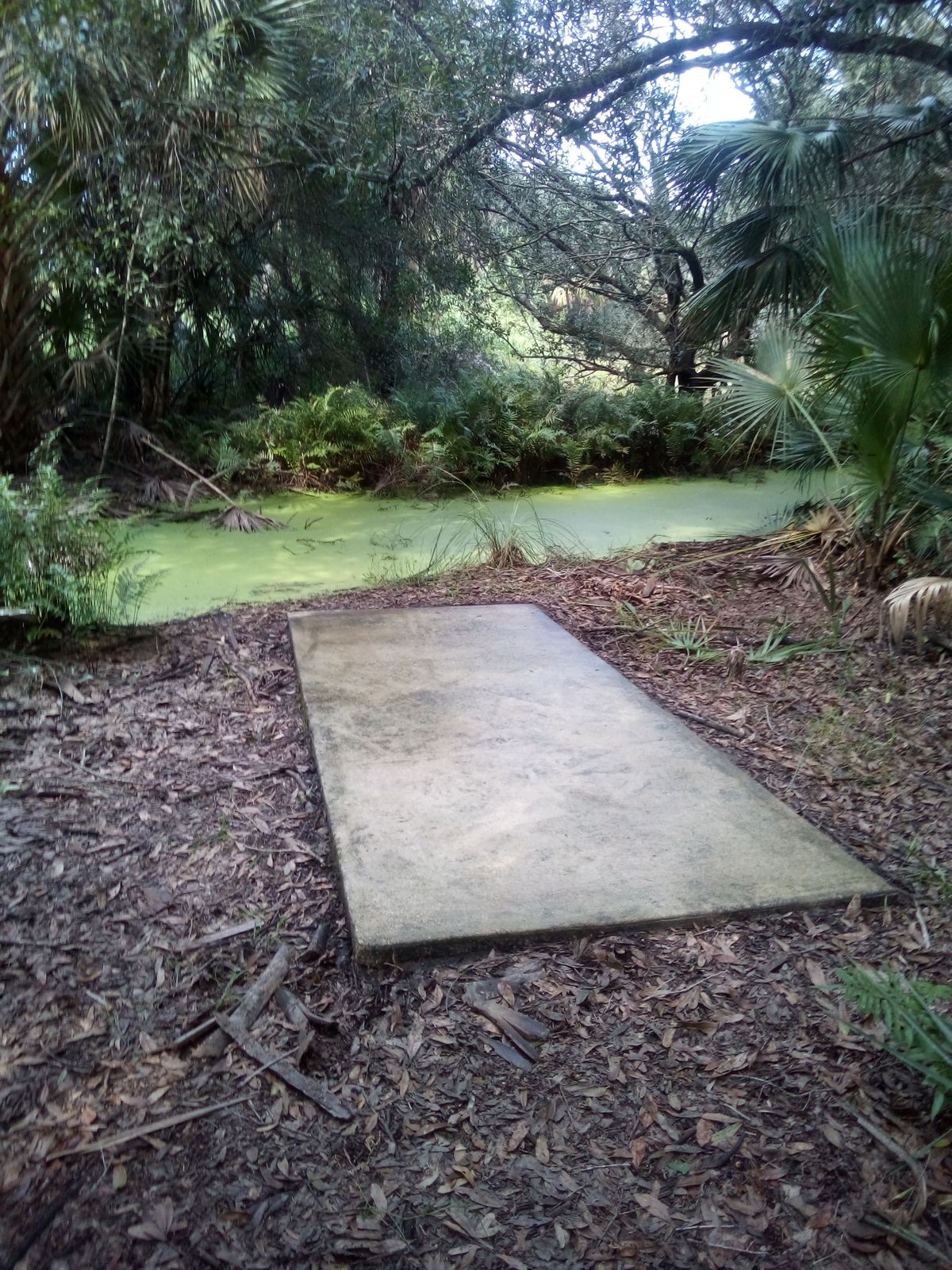 Long tee pad #9 after