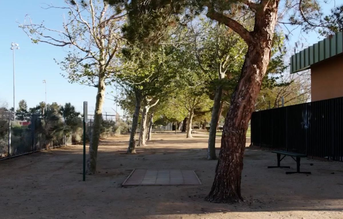 Hole 5 Tee Box