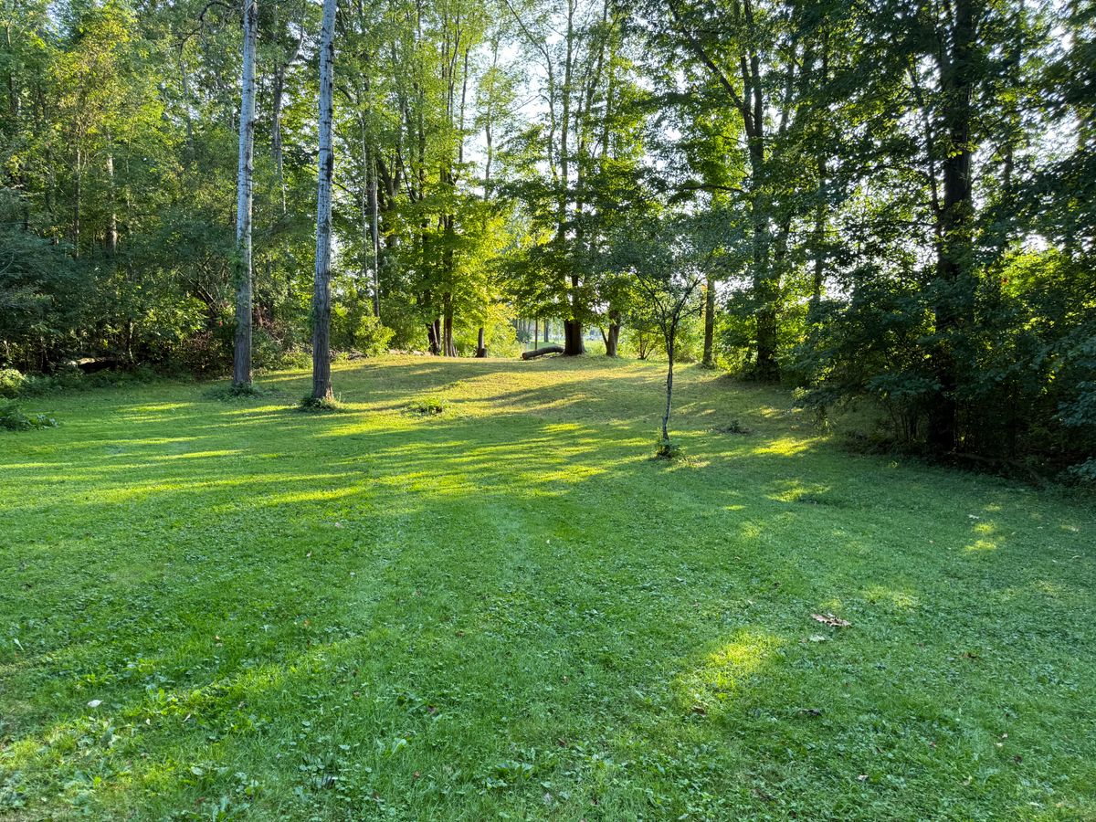 Hole 5 Fairway