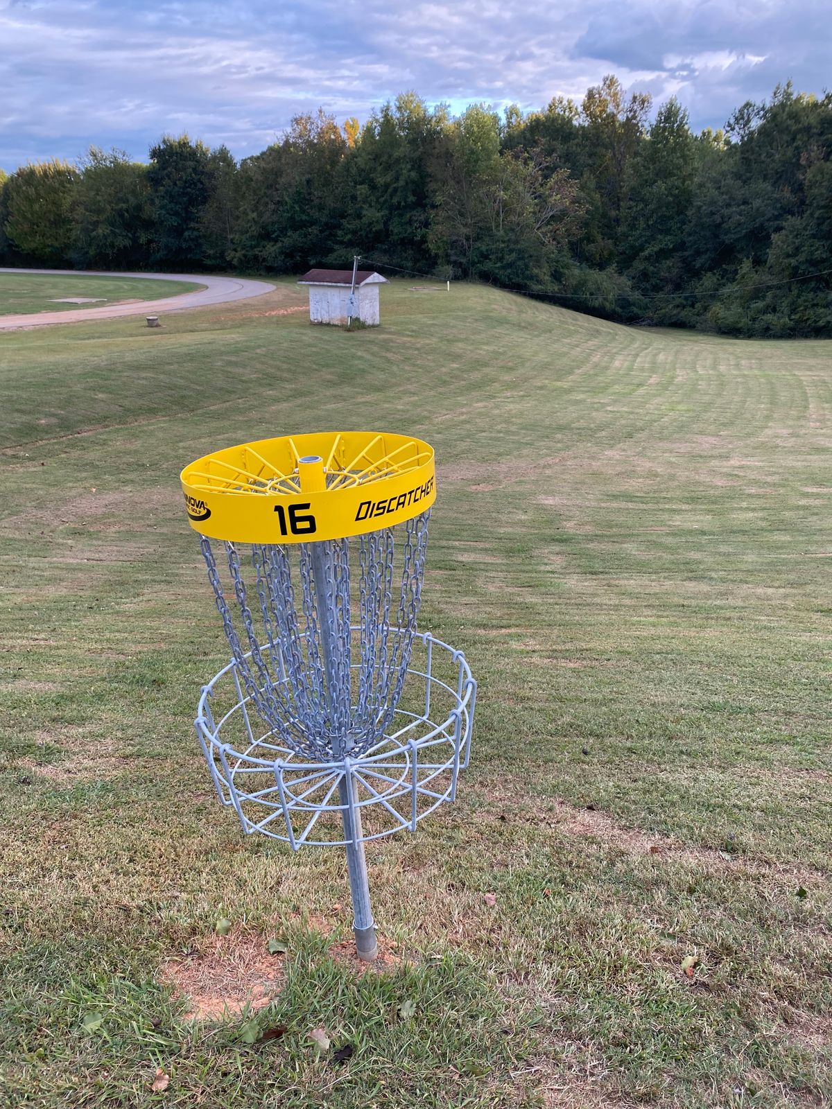 Hole 16 Basket
