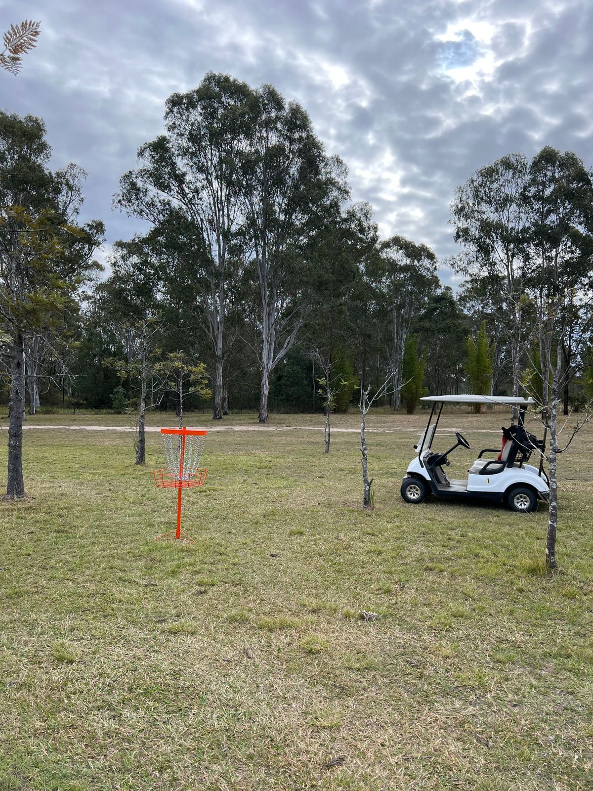 Hole 4 basket