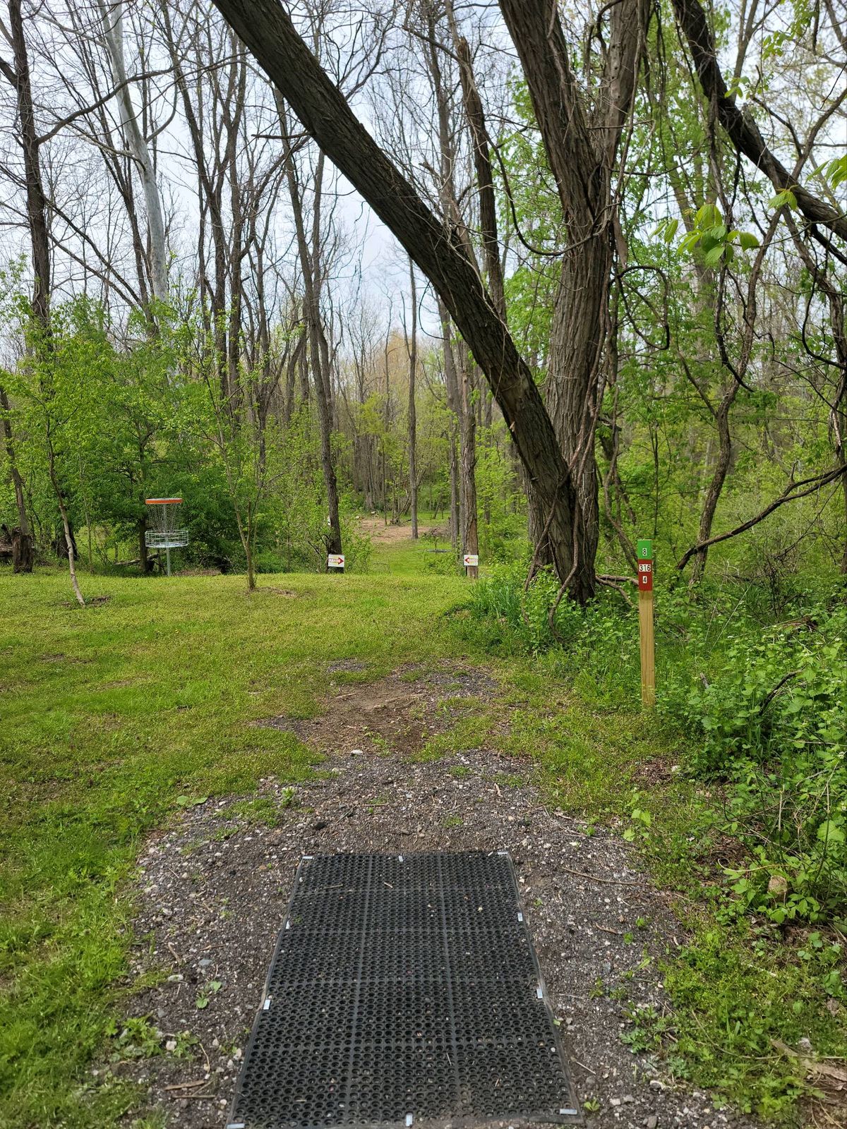 Hole #8
Double Mando