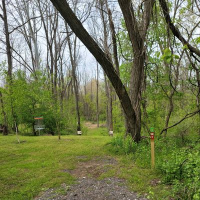 Hole #8
Double Mando