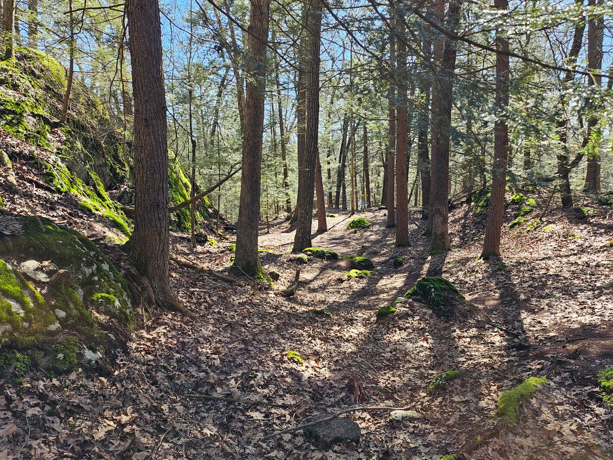 6th Tee 30ft ahead
