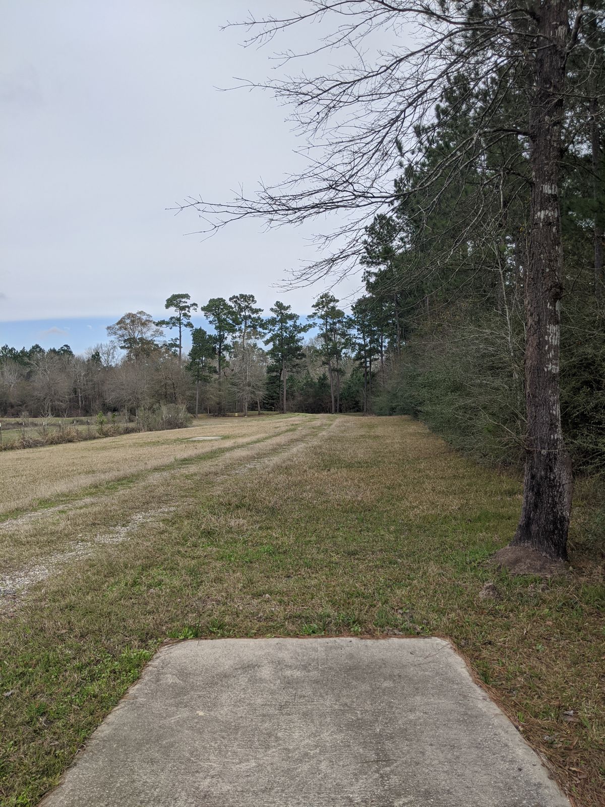 Hole 13 Long Tee