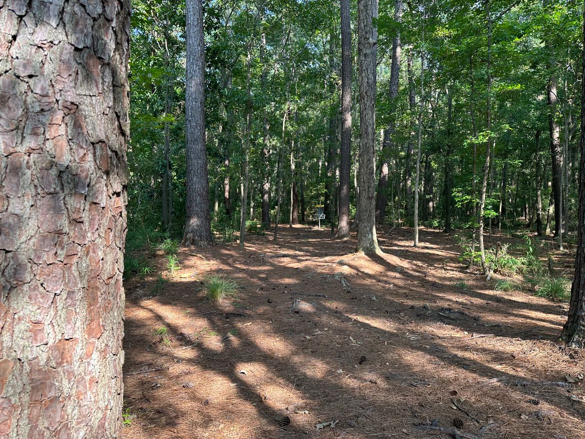 Hole 10 Approach