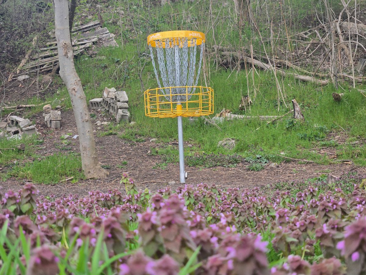 Hole 1 green