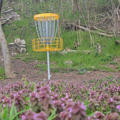 Hole 1 green