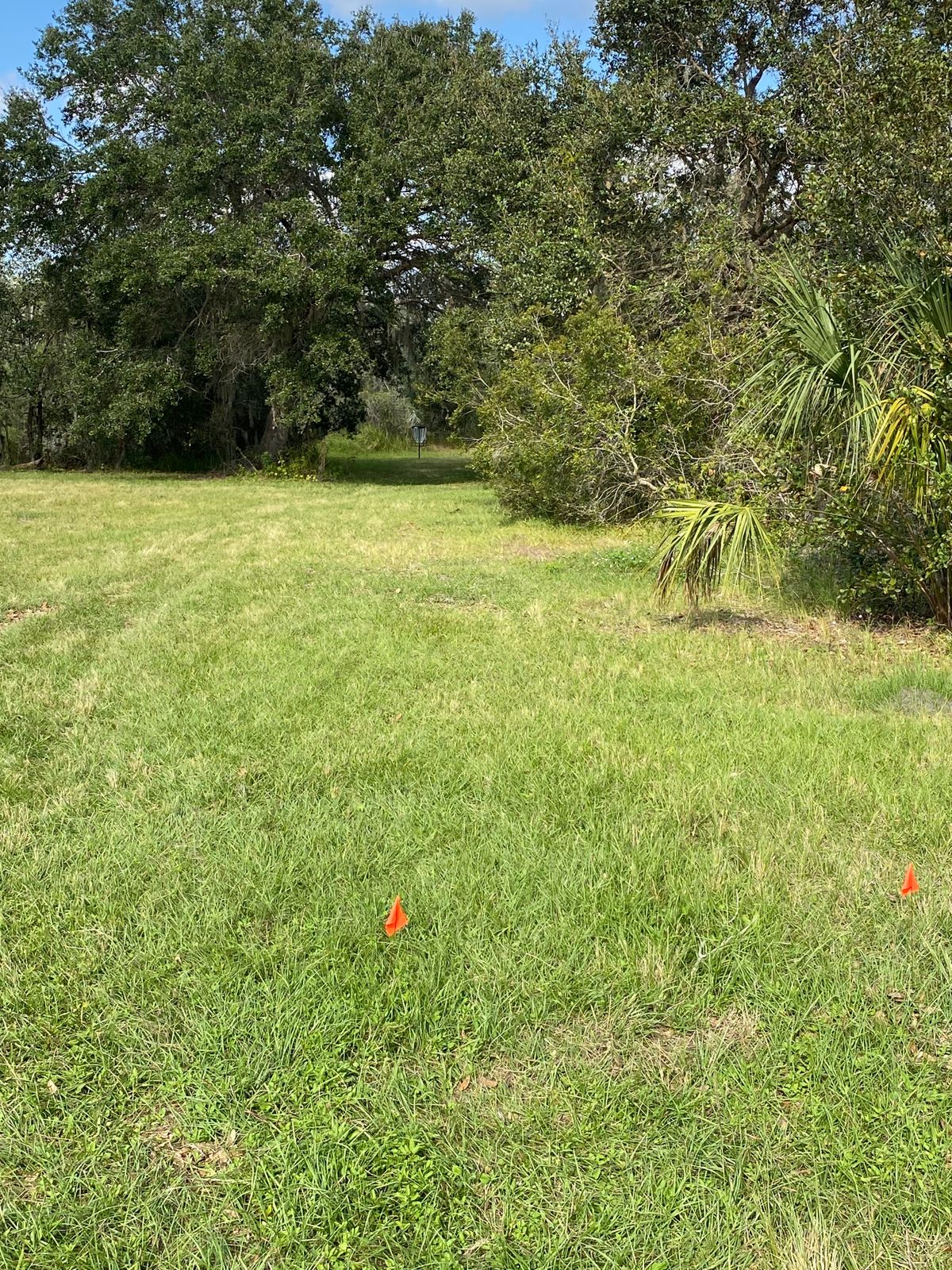 Hole 6 looking toward basket.