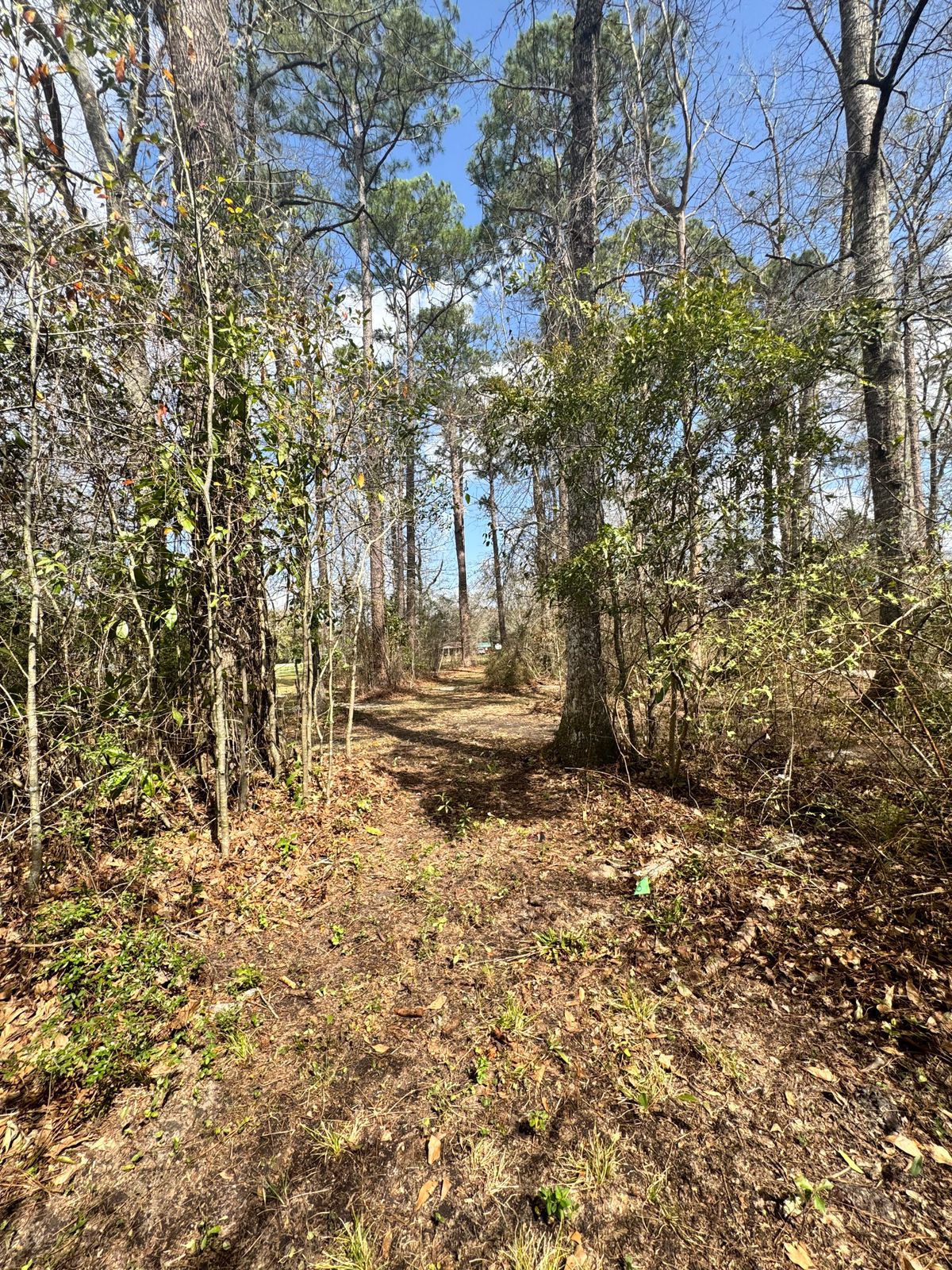 Hole 8 tee