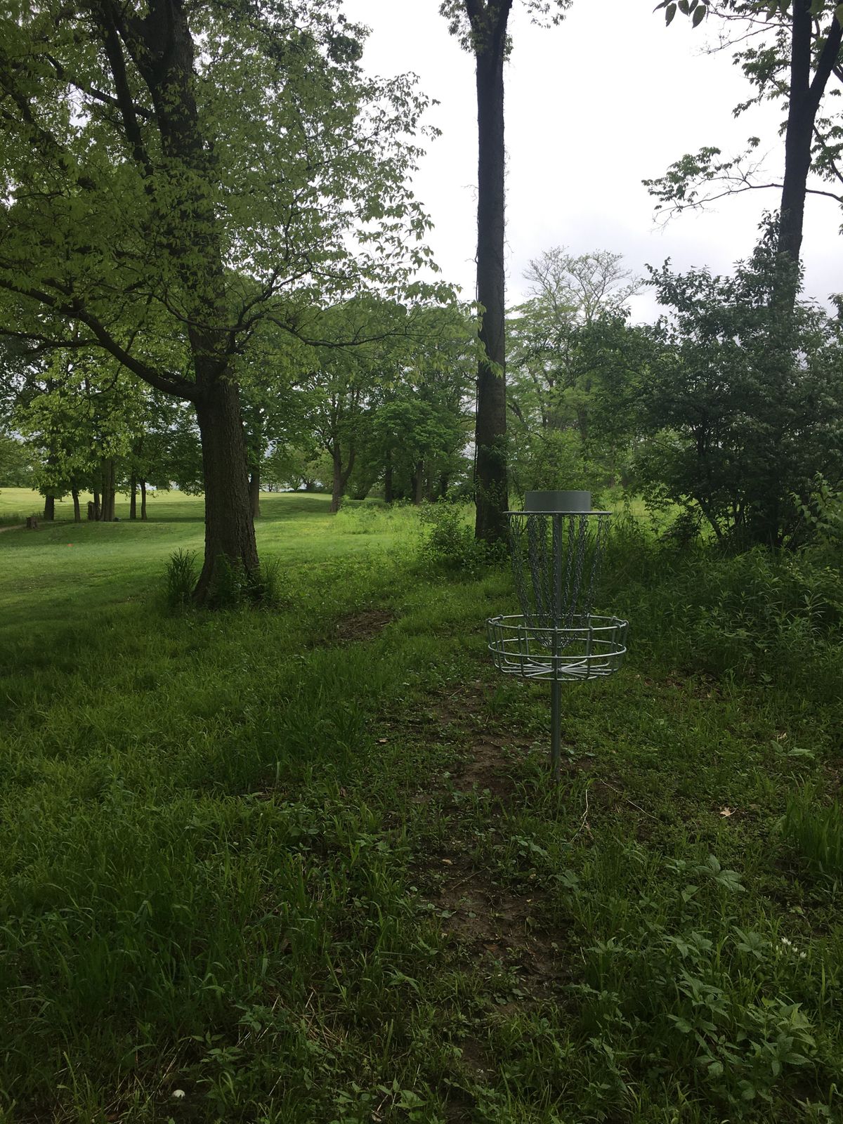 Hole 3 basket