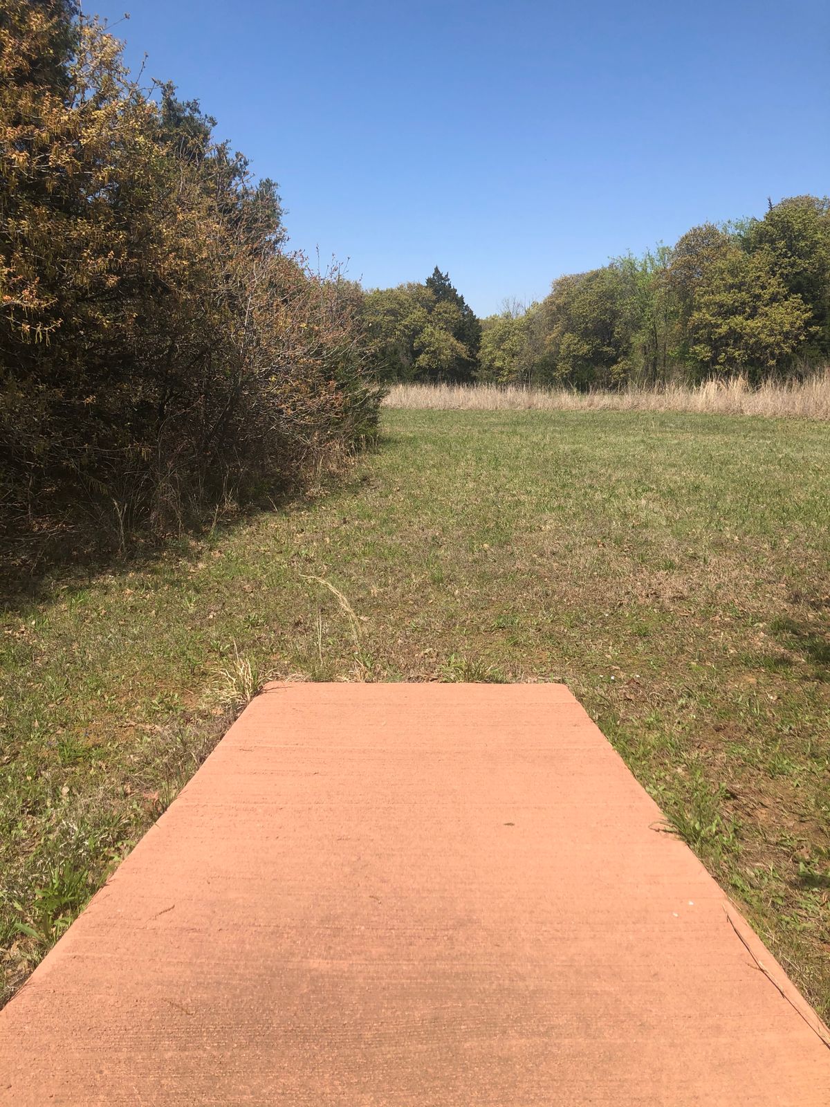 Hole 11 north long tee