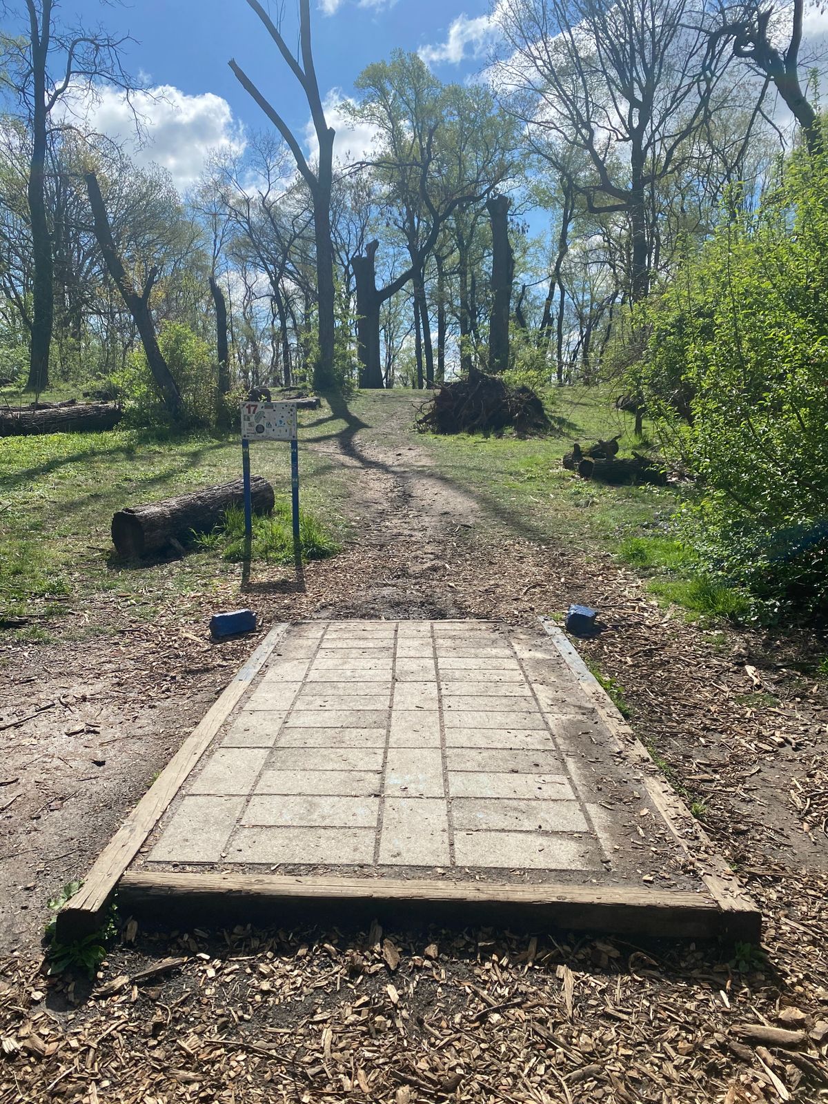 Hole 17 Blue