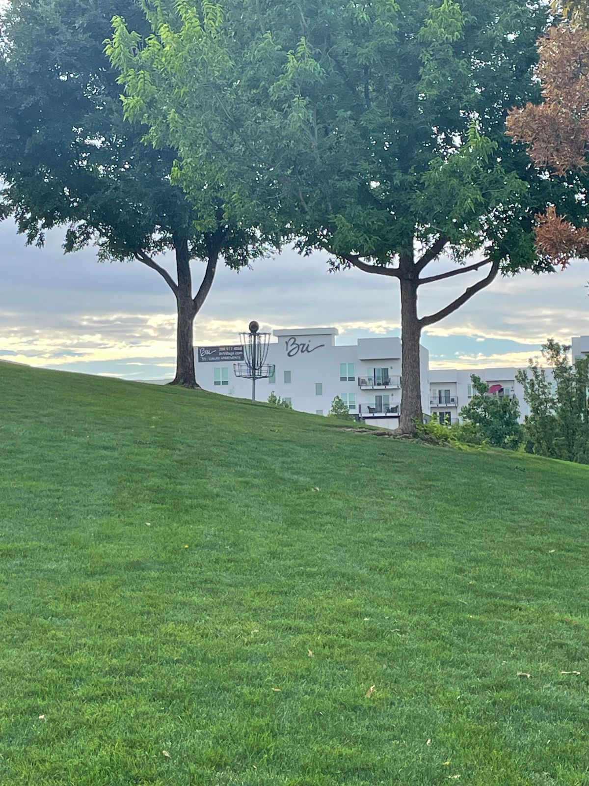 Hole 6