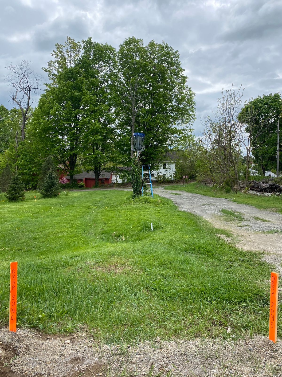 Hole 16 drop zone