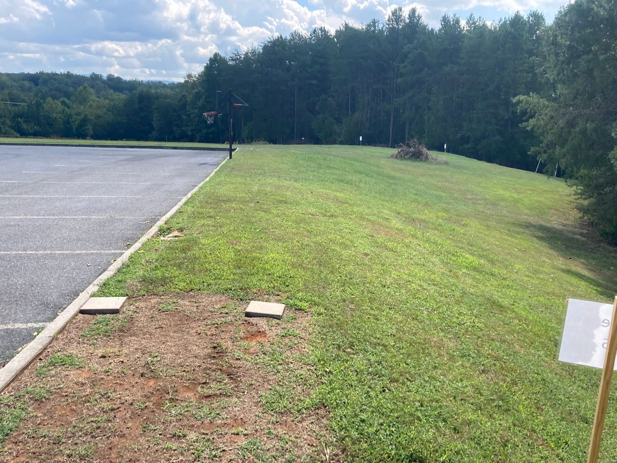 Hole #6: Open bomber shot, but basket tucked in at edge of woods. Bushes and road on left hill.