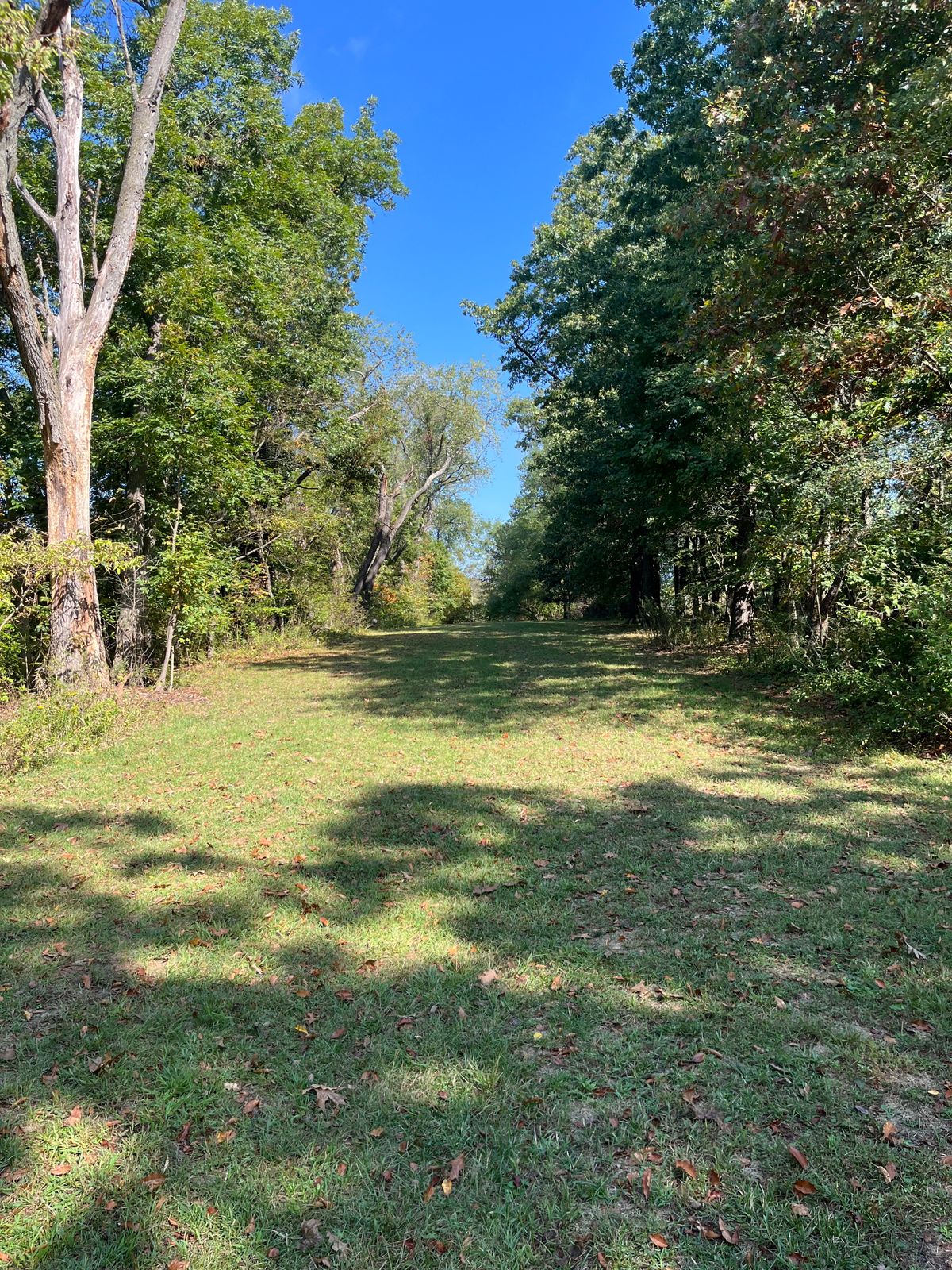 Hole 13 fairway