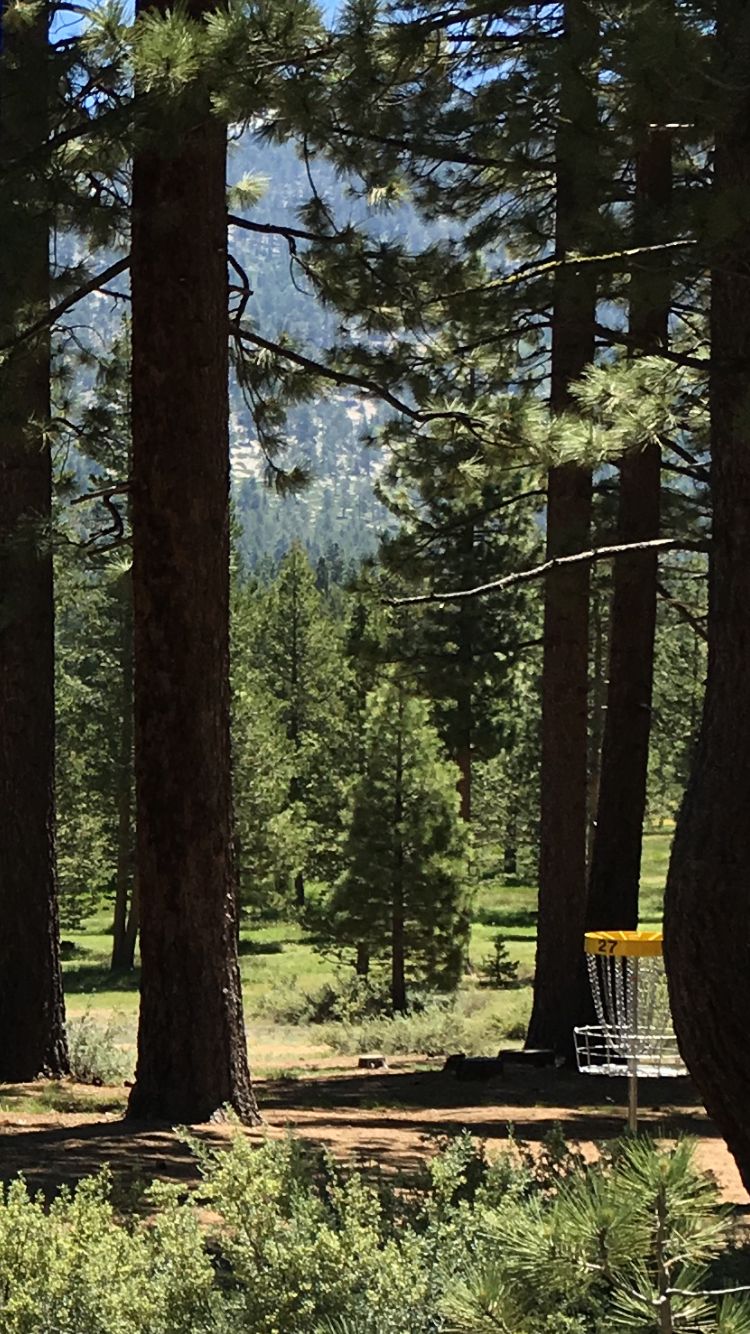 Hole 27–The end of a long Disc Golf Journey.