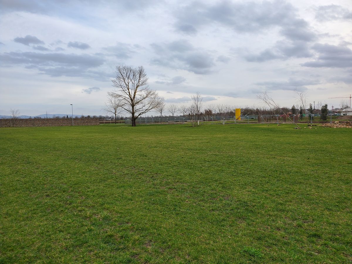 Bahn 5 (9 Holes Alternative)