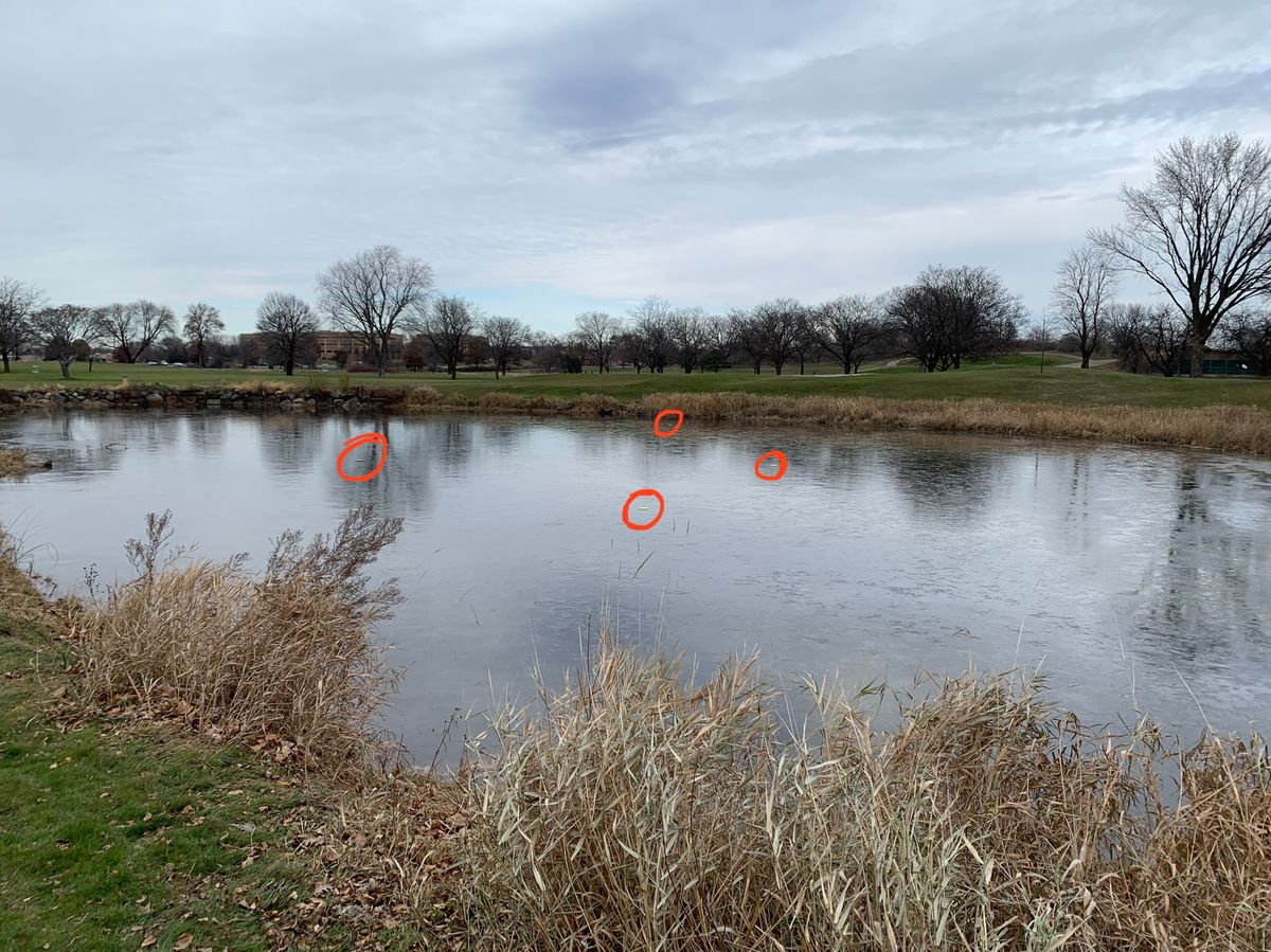 4 discs resting on a paper thin layer of ice at the hole 13 pond. I love this course.