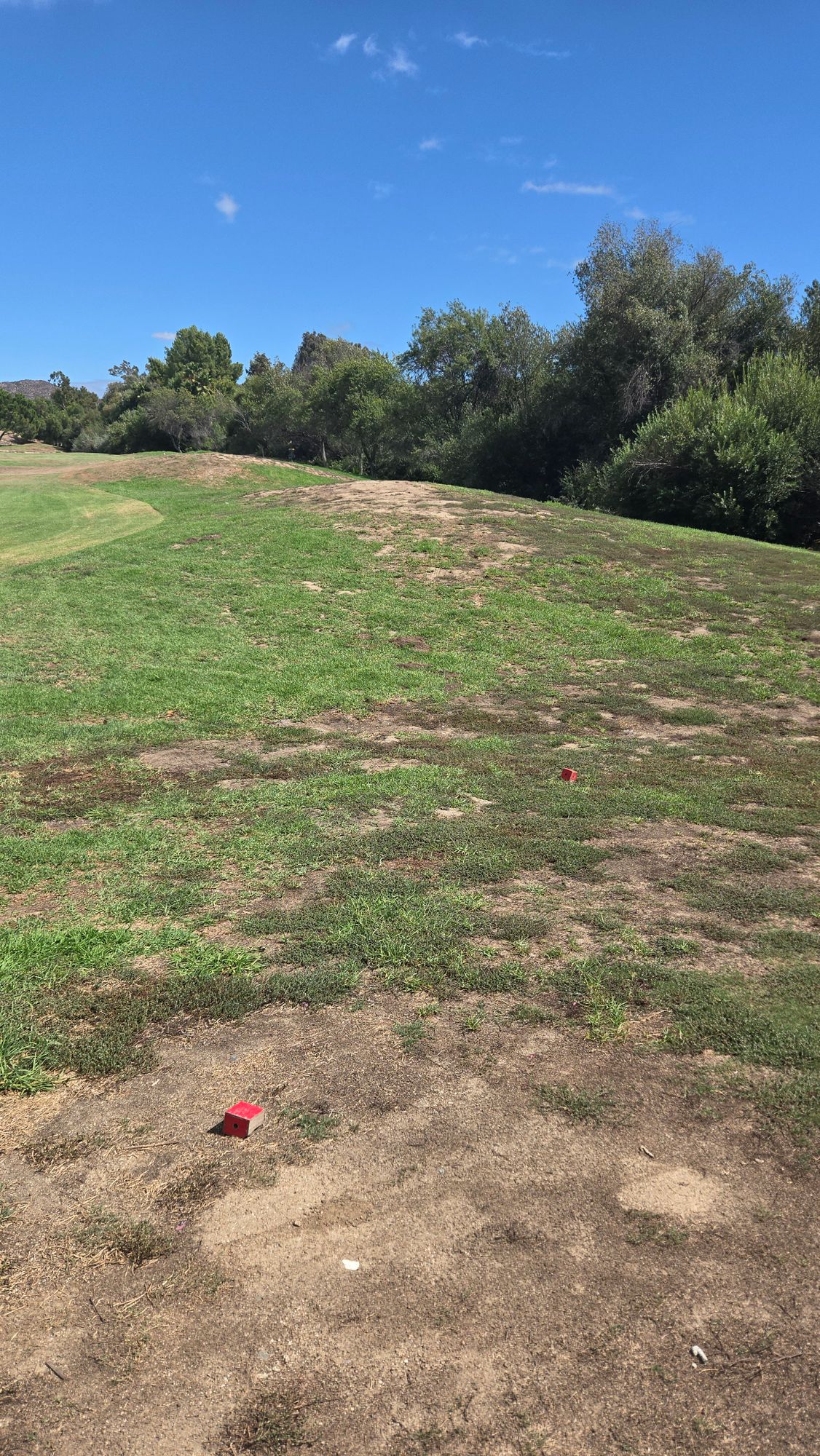 Hole 1.  Alpha Red.  I think the ball golfers may have rearranged the tee markers.
