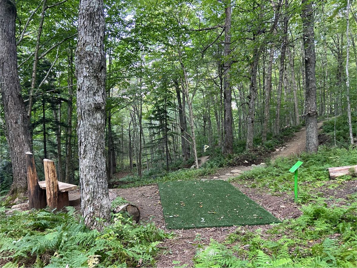 Hole 8 tee
