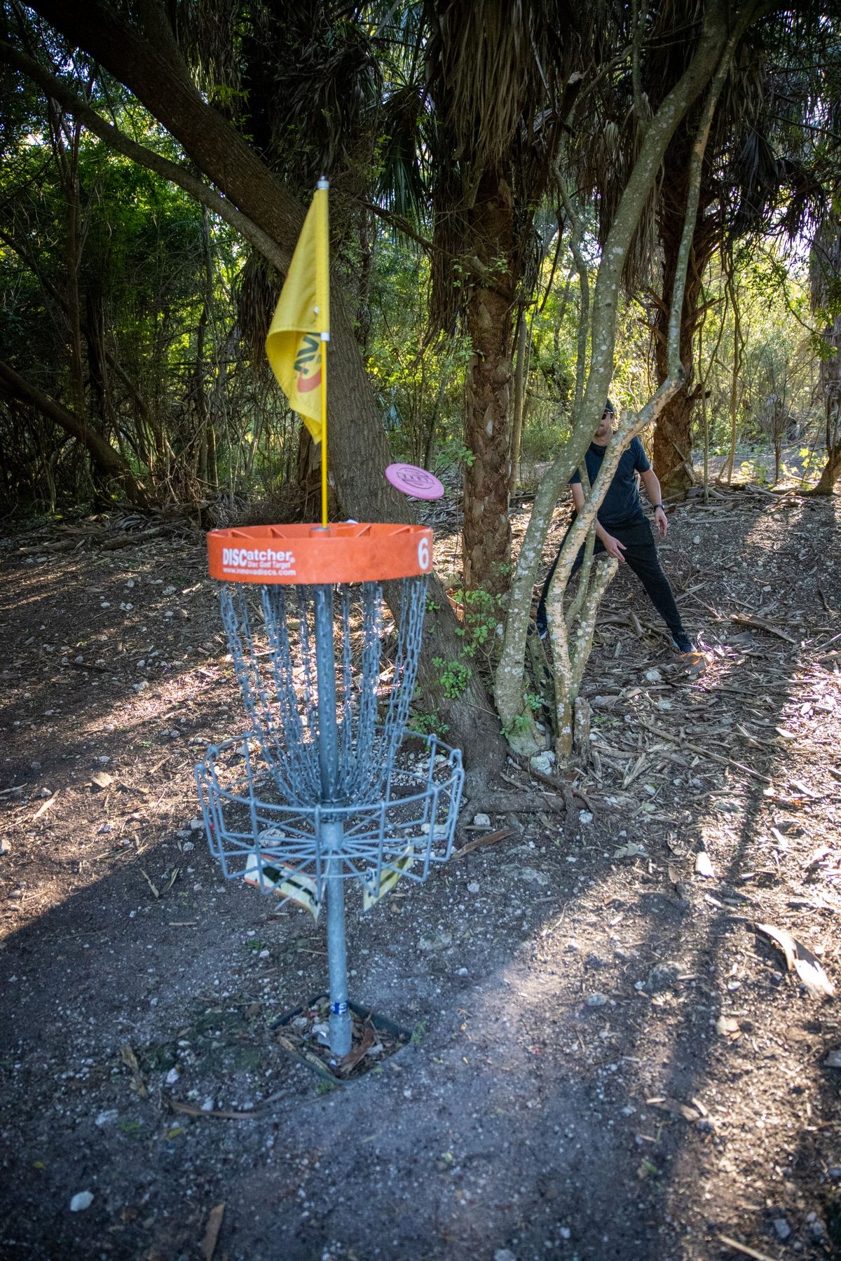 Hole 6 basket.