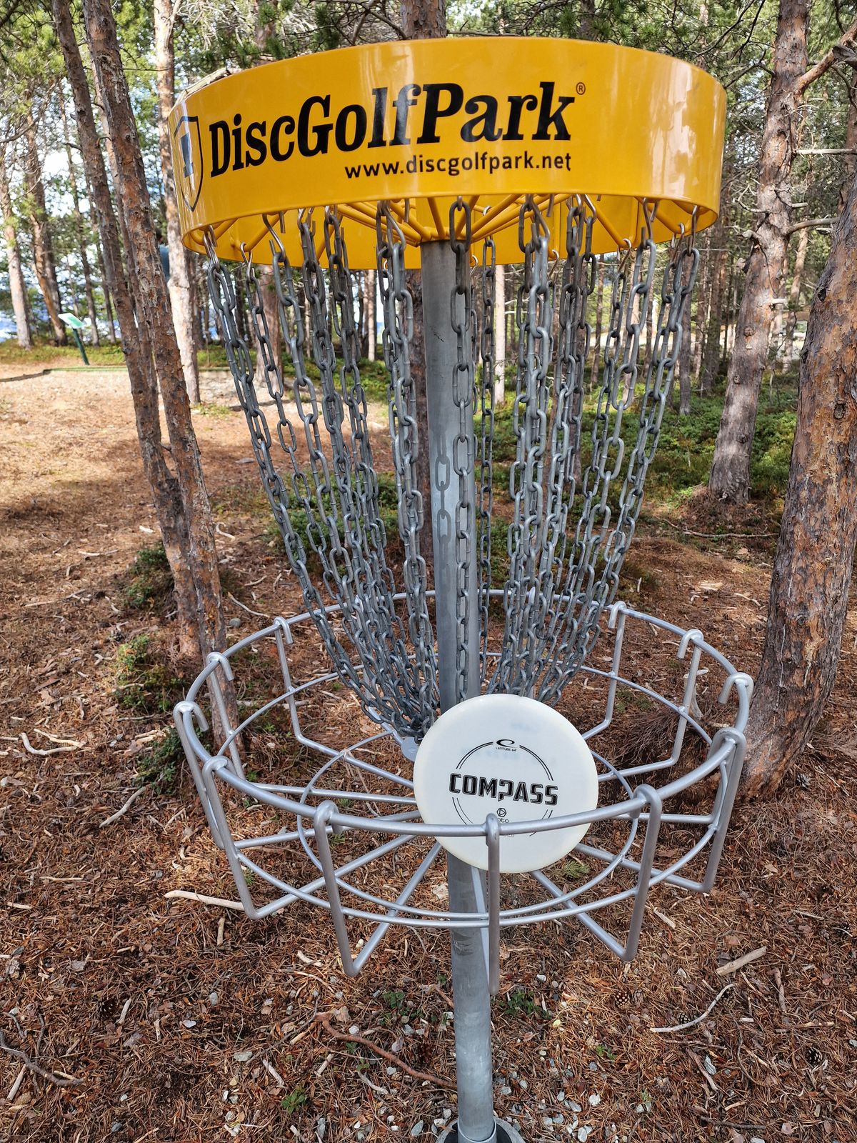 Utrolig nydelig dag og mange timer i sola! Toppet seg med ACE på hull 2 😁